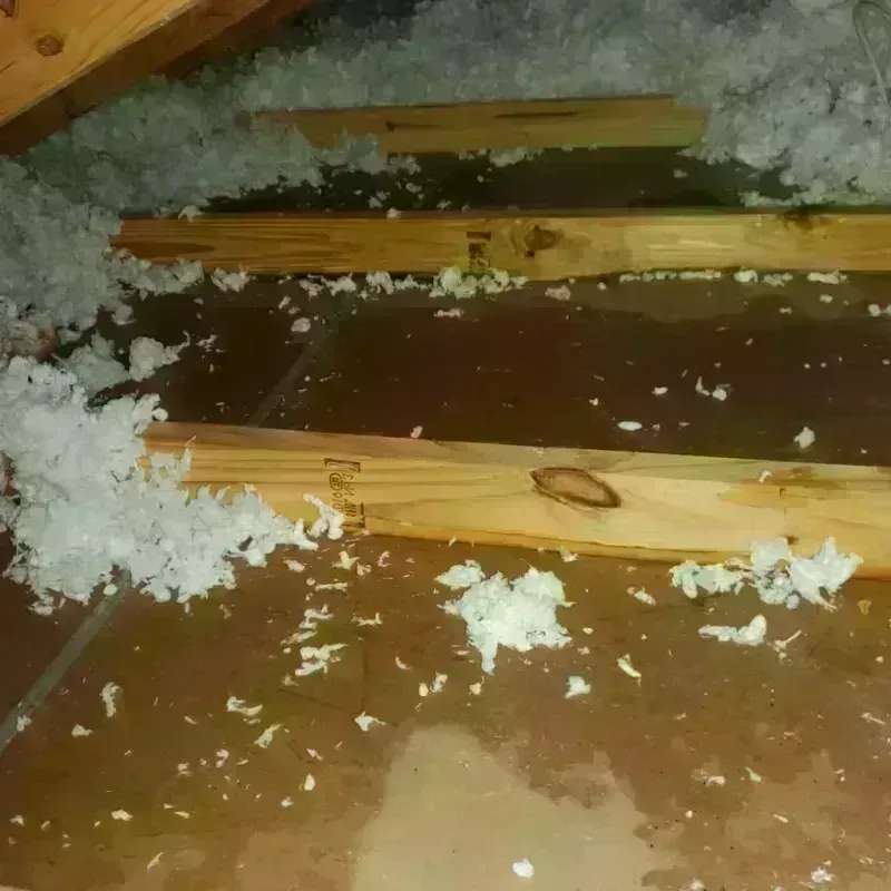 Attic Water Damage in Bourne, MA